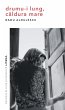 Drumu-i lung, caldura mare (eBook, ePUB) - Bild 1