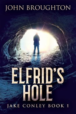 Elfrid's Hole (eBook, ePUB) - Broughton, John