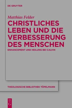 Christliches Leben und die Verbesserung des Menschen (eBook, PDF) - Felder, Matthias
