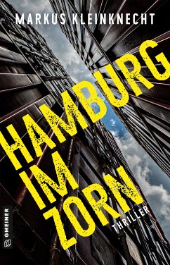 Hamburg im Zorn (eBook, ePUB) - Kleinknecht, Markus