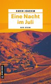 Eine Nacht im Juli (eBook, ePUB)