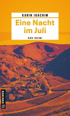 Eine Nacht im Juli (eBook, ePUB) - Joachim, Karin