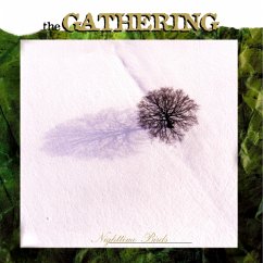 Nighttime Birds - Gathering,The