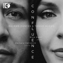 Confluence - Carretin,Zachary/Gajic,Mina