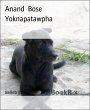 Yoknapatawpha (eBook, ePUB) - Bild 1