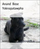Yoknapatawpha (eBook, ePUB)
