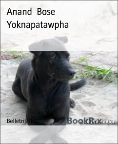 Yoknapatawpha (eBook, ePUB) - Bose, Anand