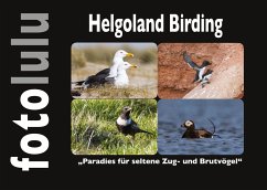 Helgoland Birding - fotolulu, Sr.
