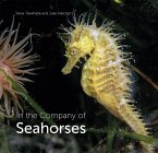 In the Company of Seahorses (eBook, ePUB)