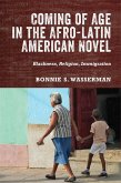 Coming of Age in the Afro-Latin American Novel (eBook, ePUB)