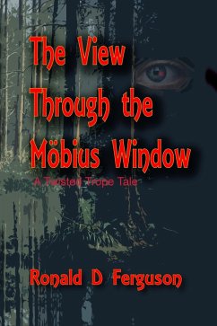 The View Through the Möbius Window (eBook, ePUB) - Ferguson, Ronald D