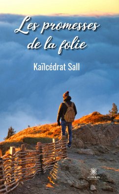 Les promesses de la folie (eBook, ePUB) - Sall, Kaïlcédrat