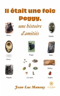 Il était une fois Peggy, une histoire d'amitiés - Jean-Luc Mansuy