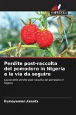 Perdite post-raccolta del pomodoro in Nigeria e la via da seguire