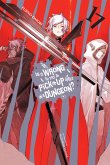 Is It Wrong to Try to Pick Up Girls in a Dungeon?, Vol. 17 LN