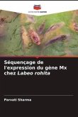 Séquençage de l'expression du gène Mx chez Labeo rohita