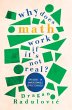 Why Does Math Work ... If It's Not Real? - Bild 1
