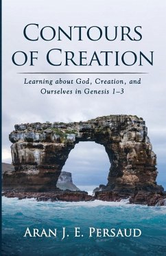 Contours of Creation - Persaud, Aran J. E.