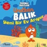 Unutkan Balik Yeni Bir Ev Ariyor