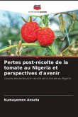 Pertes post-récolte de la tomate au Nigeria et perspectives d'avenir