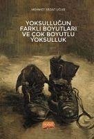 Yoksullugun Farkli Boyutlari ve Cok Boyutlu Yoksulluk - Sedat Ugur, Mehmet