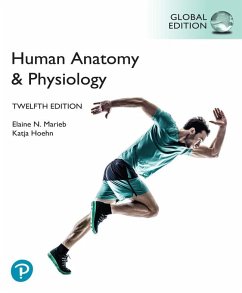 Human Anatomy & Physiology, Global Edition, (HB) - Marieb, Elaine; Marieb, Elaine N.; Hoehn, Katja
