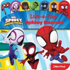 Disney Junior Marvel Spidey and His Amazing Friends: High and Low  Take-A-Look Book