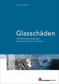 Glasschäden (eBook, ePUB)