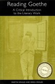 Reading Goethe (eBook, PDF)