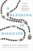 A Blessing in Disguise (eBook, ePUB)
