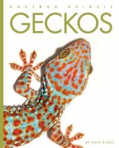 Geckos - Riggs, Kate