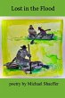 Lost in the Flood - Bild 1