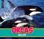 Orcas