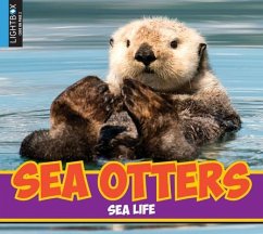 Sea Otters