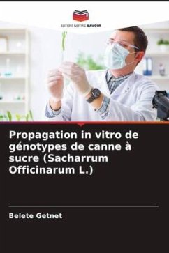 Propagation in vitro de génotypes de canne à sucre (Sacharrum Officinarum L.) - Getnet, Belete