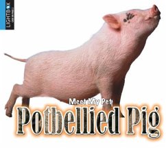 Potbellied Pig