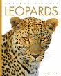 Leopards - Bild 1
