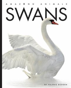 Swans - Bodden, Valerie