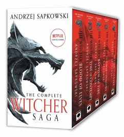 The Witcher Boxed Set: Blood of Elves, the Time of Contempt, Baptism of Fire, the Tower of Swallows, the Lady of the Lake - Sapkowski, Andrzej