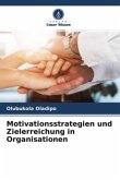 Motivationsstrategien und Zielerreichung in Organisationen