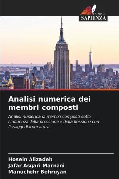 Analisi numerica dei membri composti - Alizadeh, Hosein;Marnani, Jafar Asgari;Behruyan, Manuchehr