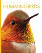 Hummingbirds - Bild 1