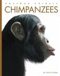 Chimpanzees - Bild 1