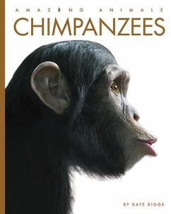 Chimpanzees - Riggs, Kate