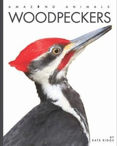 Woodpeckers - Riggs, Kate