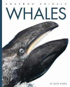 Whales - Riggs, Kate