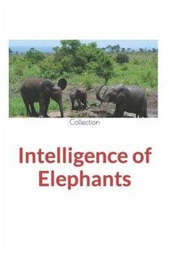 Intelligence of Elephants - Nature and Human Studies; Collection