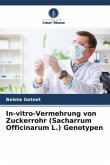 In-vitro-Vermehrung von Zuckerrohr (Sacharrum Officinarum L.) Genotypen