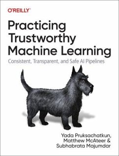 Practicing Trustworthy Machine Learning - Pruksachatkun, Yada; McAteer, Matthew; Majumdar, Subhabrata