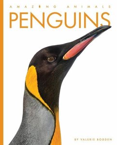 Penguins - Bodden, Valerie
